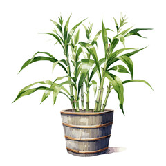Sugarcane plant in pot. Hand drawn vector illustration