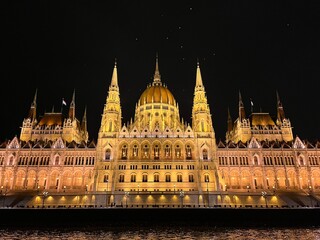 budapest, hungary, parliament, seagull, night, illuminated