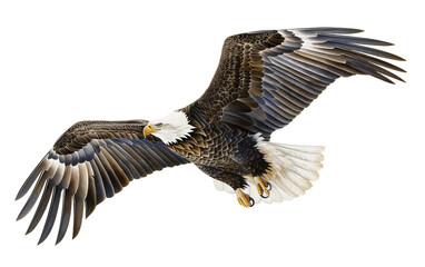 Patriotic Eagle Soaring Art Isolated On Transparent Background PNG.