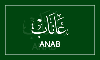 ANAB   Name in  Calligraphy logo