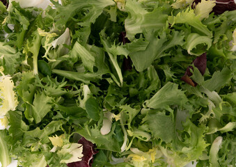 background of fresh mix lettuce