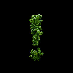 Exclamation mark is created from young green arugula sprouts on a black background.