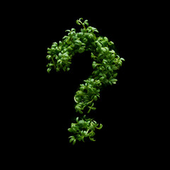 Question mark is created from young green arugula sprouts on a black background.