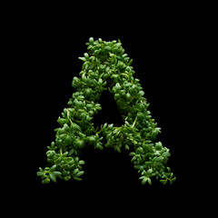 The capital letter A is made of green arugula on a black background