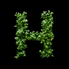 Capital letter H is created from young green arugula sprouts on a black background.