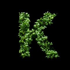 Capital letter K is created from young green arugula sprouts on a black background.