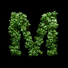 Capital letter M is created from young green arugula sprouts on a black background.