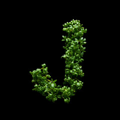 Capital letter J is created from young green arugula sprouts on a black background.