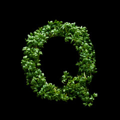 Capital letter Q is created from young green arugula sprouts on a black background.