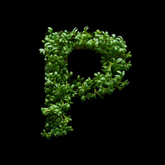 Capital letter P is created from young green arugula sprouts on a black background.