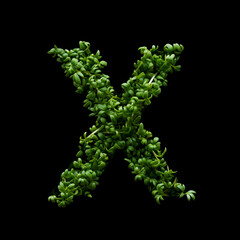 Capital letter X is created from young green arugula sprouts on a black background.