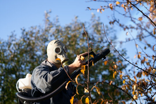 Autumn treatment of fruit orchard from diseases and pests. Gardener with an aerosol generator.