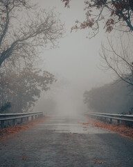 Fog road