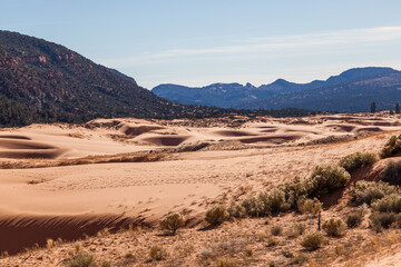 Coral Pink Sand Dunes State Park in Utah