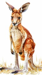 Watercolor painting of a hopping kangaroo joey, cute and lively on a white background