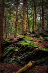Spring at Ricketts Glen State Park in Benton PA.  Known for its 21 waterfalls and old-growth forest and boulders.  Hiking the loop on a cold Spring Day.  
