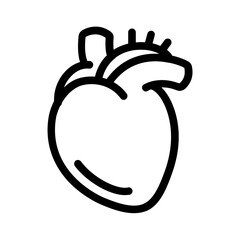 Hand drawn doodle style anatomic heart line icon.