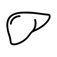 Hand drawn doodle style liver line icon.