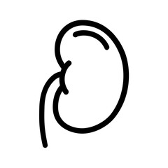 Hand drawn doodle style kidney line icon.
