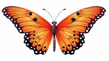 Butterfly on a white background.