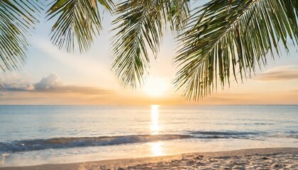 a summer vacation holiday background of a tropical beach and blue sea at sunset with the sun on the horizon and green palm tree leaves - obrazy, fototapety, plakaty