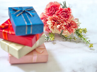 カーネーションとプレゼント(色違いVer)