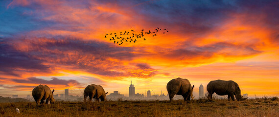 Breathtaking Sunset Over African Plains with Rhinos, Birds, and City Skyline in the Distance