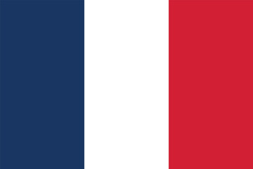 The flag of France in a round shape. Tricolor: blue, white, red. Three vertical stripes. Isolated vector illustration on gray background.