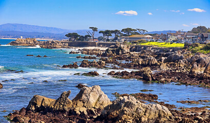 Fototapety na wymiar - Fototapeta24.pl