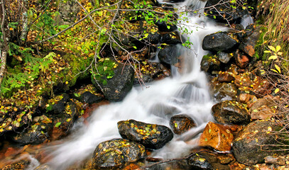 Mountain stream in the fall