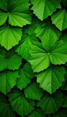 Fototapeta na wymiar Green Leaves Pattern Natural Lush Foliages of Leaf , Generate AI