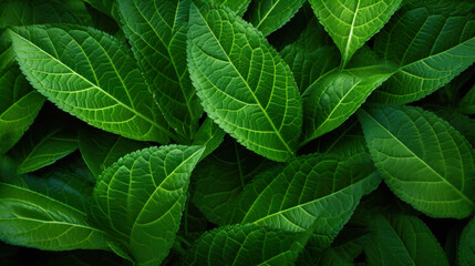  Green Leaves Pattern  Natural Lush Foliages of Leaf  , Generate AI