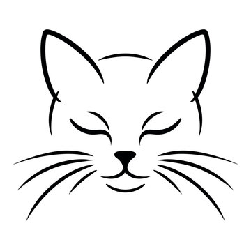 High-quality cat outline Colorful illustration