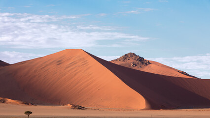 Fototapeta na wymiar Early morning in the Namib 