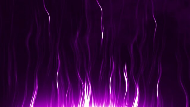 Abstract purple flames on black background. suitable for inserting text or logo.Purple and pink modern minimal geometric animated background.detailed flames with smoke and slow elegant motion