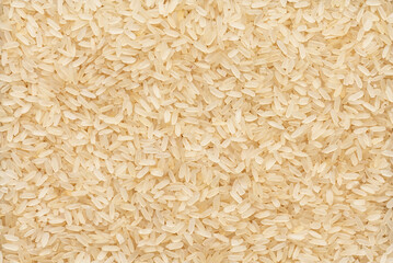 Parboiled raw rice texture. Background dry long rice.