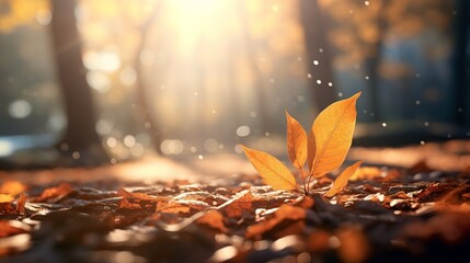  Autumn leaves fall with lens flare Generate AI - obrazy, fototapety, plakaty
