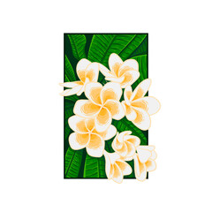 Vintage doodle illustration of Balinese frangipani flowers isolated on white background. Suitable for designing t-shirts, jackets, hoodies, hats, stickers, etc