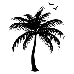 Obraz premium Black palm tree silhouette. Coconut tree vector illustration on a white background