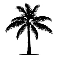 Black palm tree silhouette. Coconut tree vector illustration on a white background