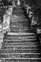 Many stone stairs in the park. Black and white