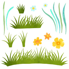 Set of watercolor spring grass and flowers. Clipart on white background. High quality illustration