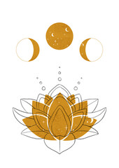Buddhism loutus flower with line and gold illustration. Lunar cycles poster. Moon art. High quality illustration