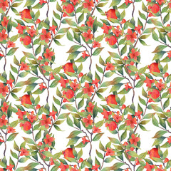Watercolor pomegranate seamless pattern on white background. High quality illustration