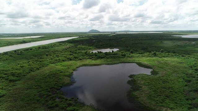 Aerial view of Paraguai River, Pantanal Region - Corumb&aacute;, Mato Grosso do Sul, Brazil