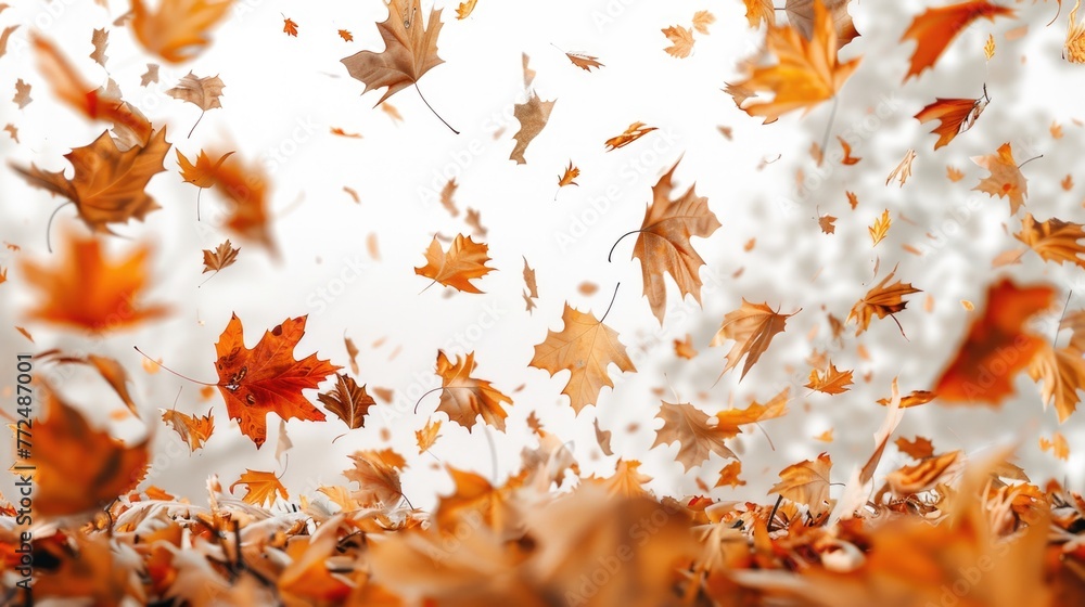 Poster A dynamic image of leaves flying in the air. Suitable for various nature and seasonal concepts