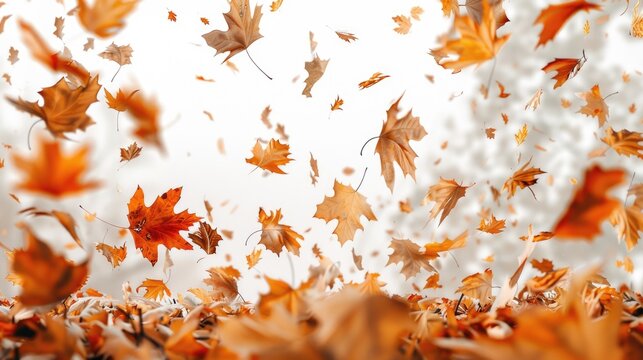 A dynamic image of leaves flying in the air. Suitable for various nature and seasonal concepts