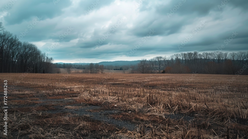 Poster dry grass field and trees under a cloudy sky. suitable for nature and landscape concepts