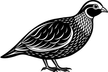 quail-icon-vector-illustration
