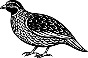 quail-icon-vector-illustration